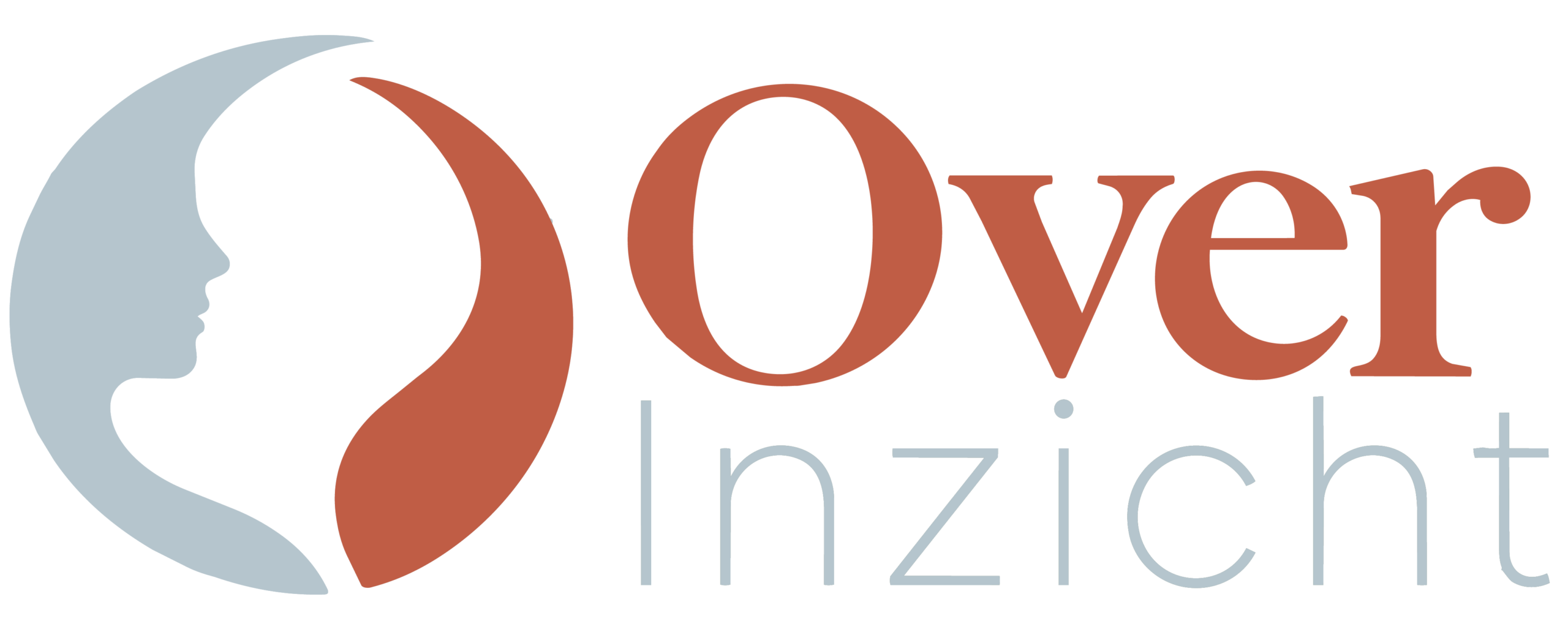 Over-inzicht.nl